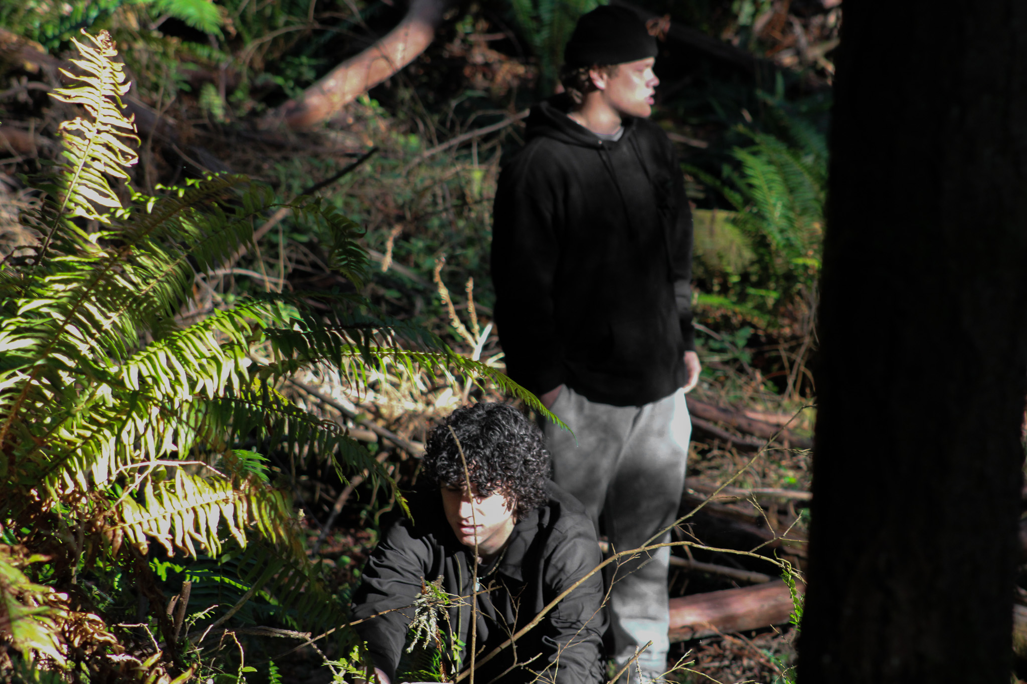 Two people in a redwood forest. One kneeling, the other looking off to the distance